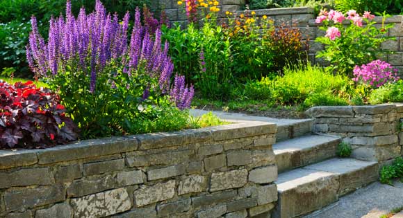 Retaining wall with beautiful garden flowers and stairs - concrete
